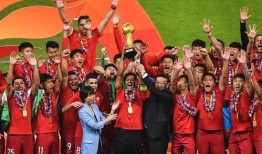 谢辉爆料上港冠军视频播放,谢辉独家爆料背后的精彩瞬间