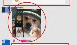 澄海网红吃瓜群微信,揭秘网络红人背后的故事与八卦